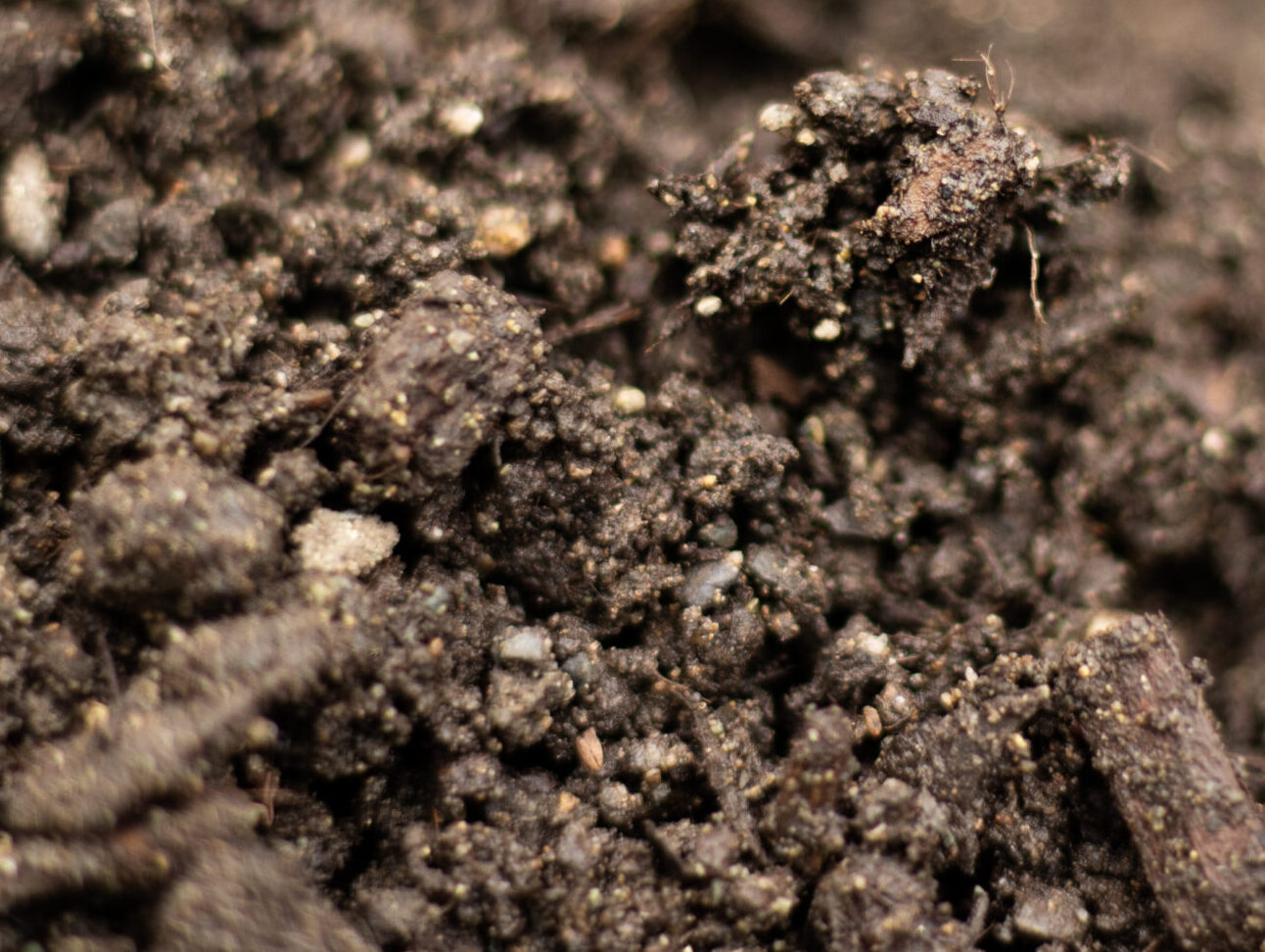 Unlocking the Power of Sustainable Mulch and Soil for Carbon Sequestration