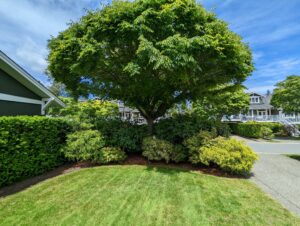 outdoor gardening